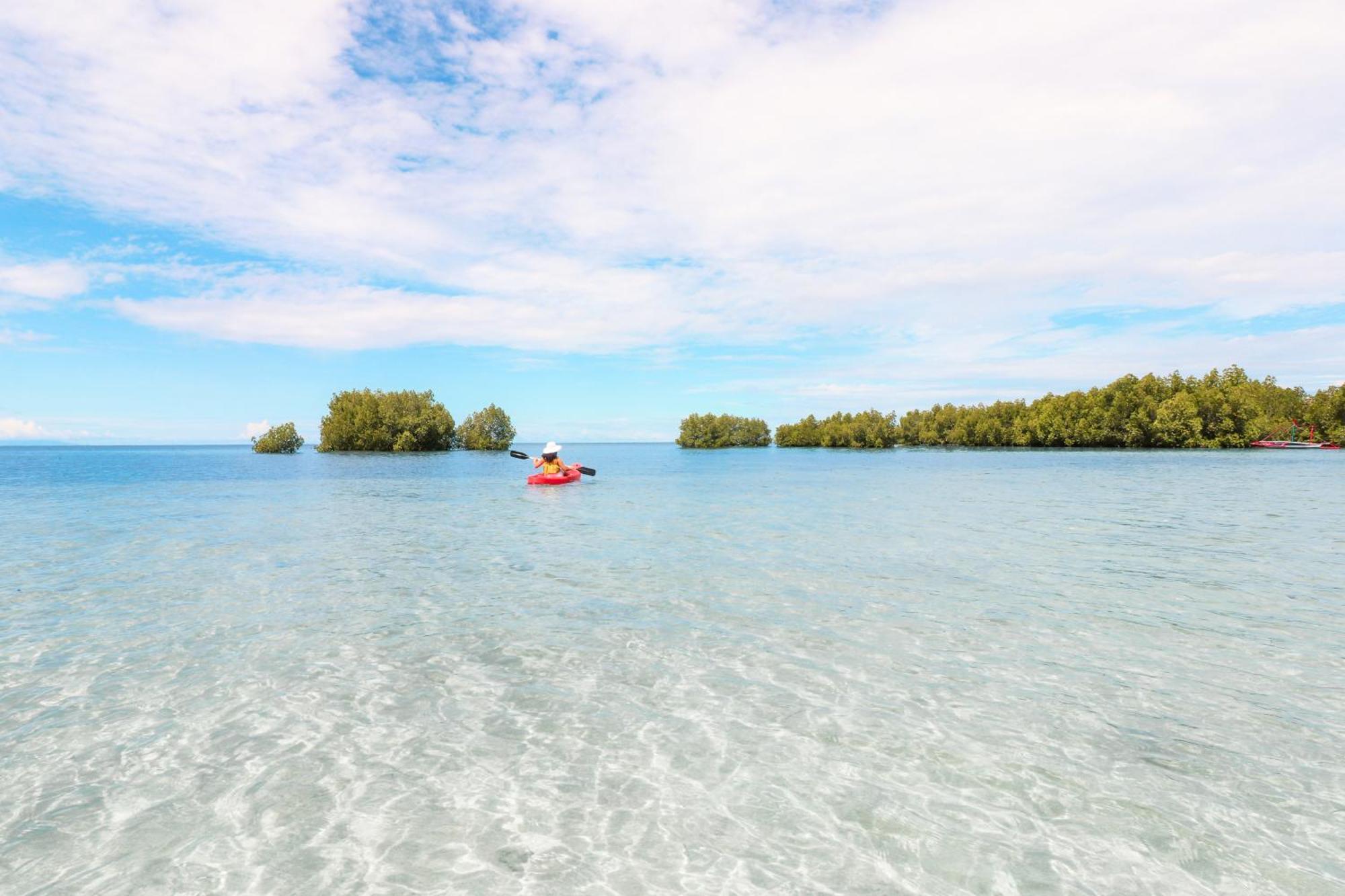 The Funny Lion - 4* Puerto Princesa
